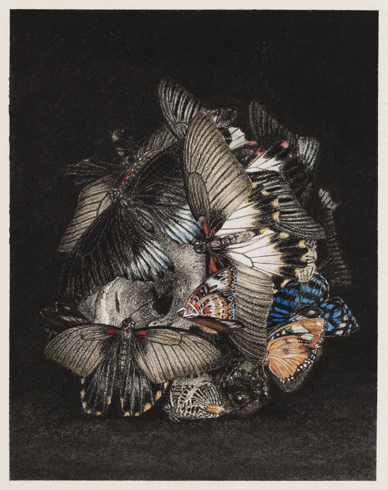 Cindy Wright, True colors (nr.7), 2016, houtskool en aquarell op papier, 46 x 36,5 cm 