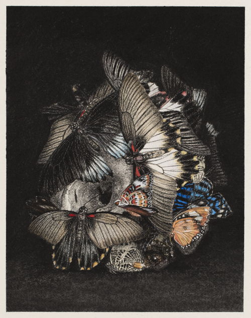 Cindy Wright, True colors (nr.7), 2016, charbon de bois et aquarelle sur papier, 46 x 36,5 cm