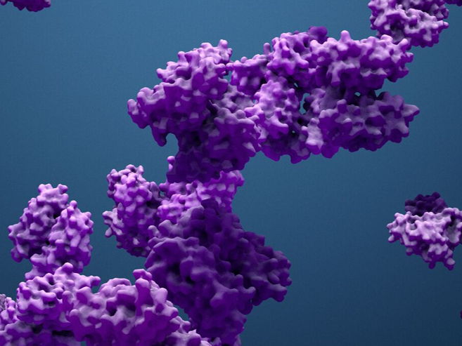 New research shows insights into devastating metabolic disease