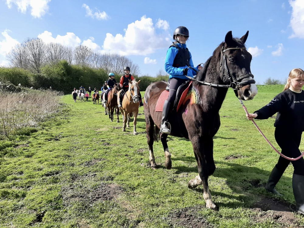 ponywandeling