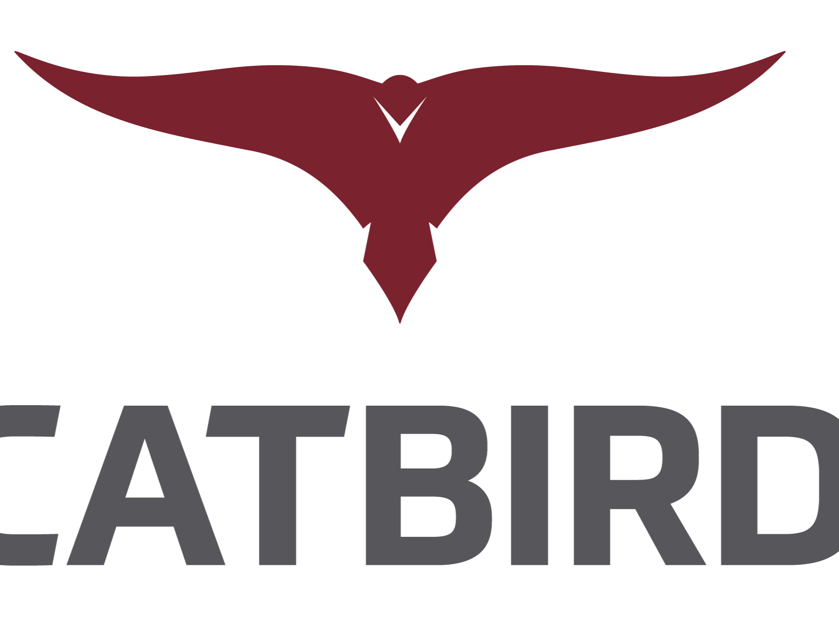 Catbird et Cronos concluent un accord de partenariat pour protéger de infrastructure virtuelles en Belgique et aux Pays-Bas