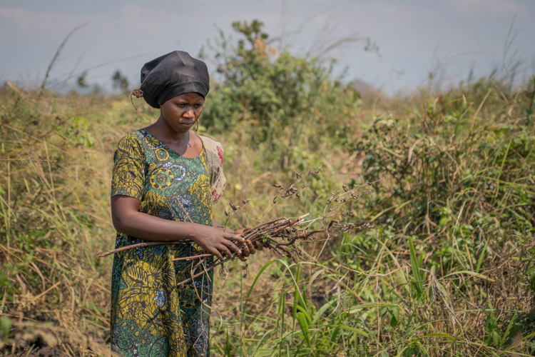 Photo from the mini-documentary series "Displaced Lives" Episode 3: Tuliya. Tuliya, 21, collects wood to meet her family's needs in Elohim camp. Life in the camp is difficult and marked by a lack of resources and proximity to the front lines. Copyright: Moses Sawasawa