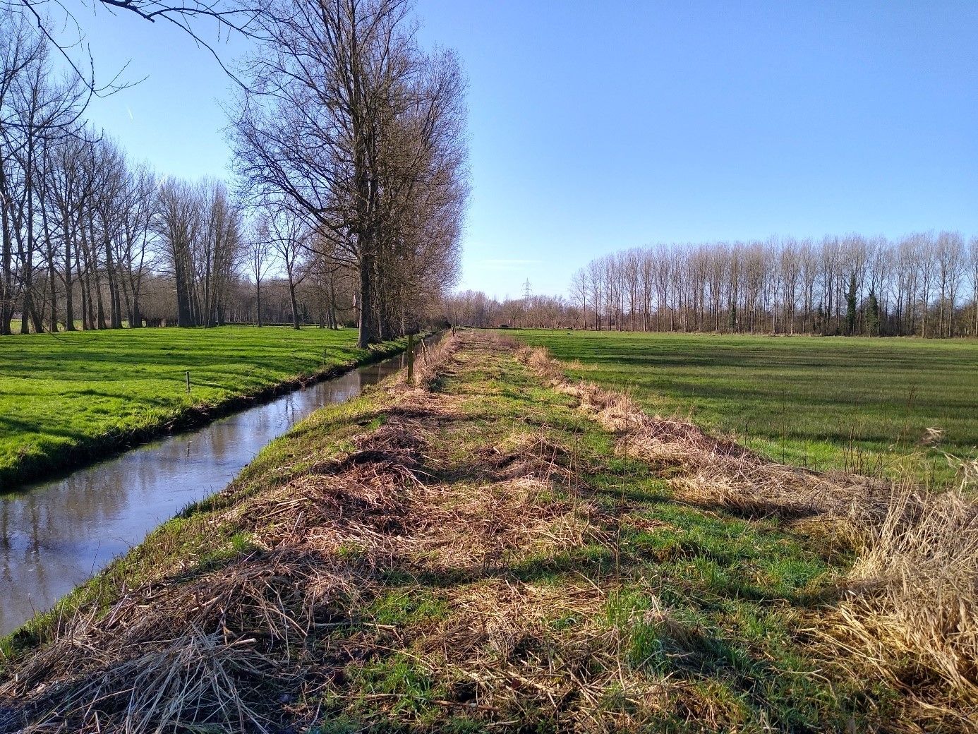 Natuurherstel maakt de Vallei van de Kleine Molenbeek klimaatweerbaarder