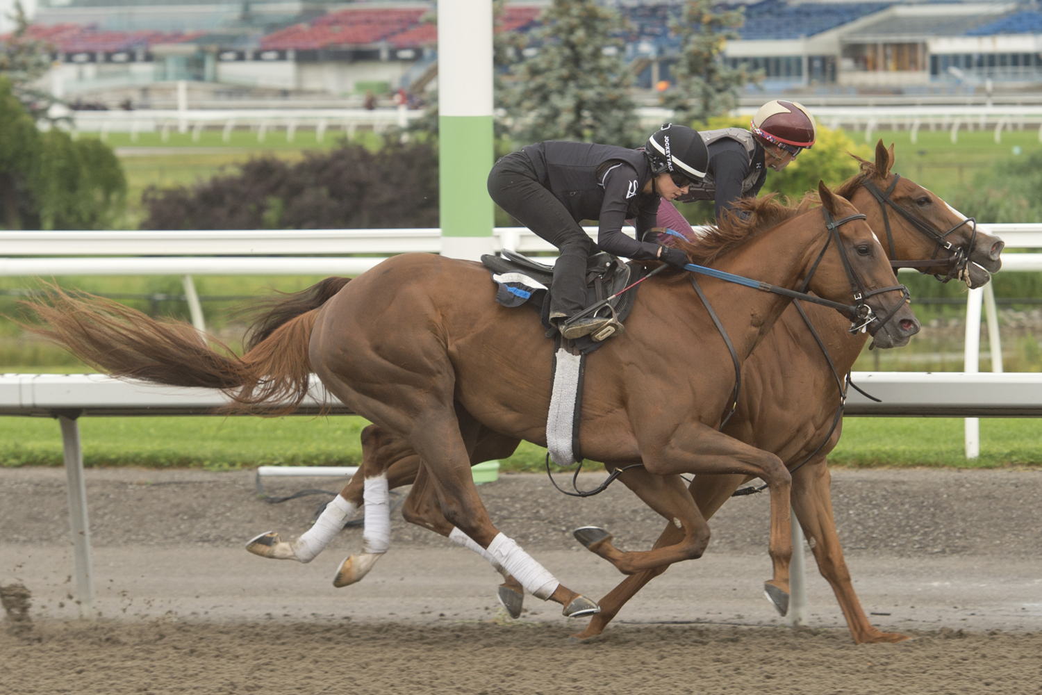 Kin's Concerto training at Woodbine (Michael Burns Photo)
