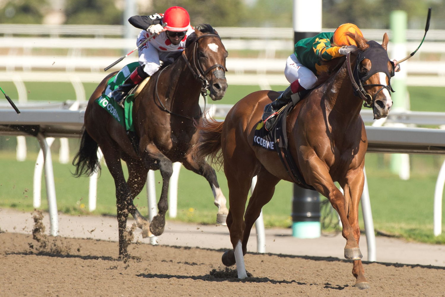 Arzak, trained by Michael Trombetta and ridden by Kazushi Kimura, finished strong to win the Grade 3 Jacques Cartier Stakes at Woodbine on Sunday. (Michael Burns Photo)