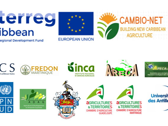 CambioNet : un projet pour construire ensemble une nouvelle agriculture dans la zone Caraïbe/Amazonie