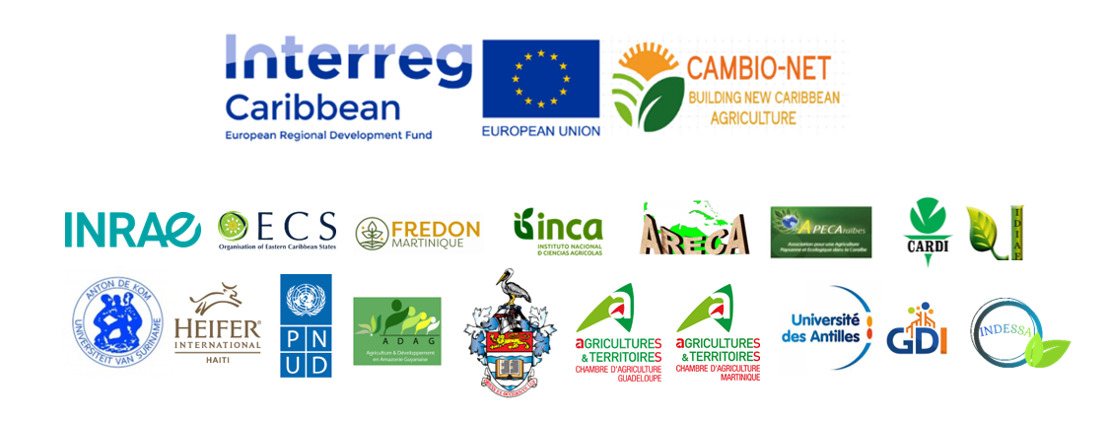 CambioNet project seeks to build a new approach to agriculture in the Caribbean/Amazon region