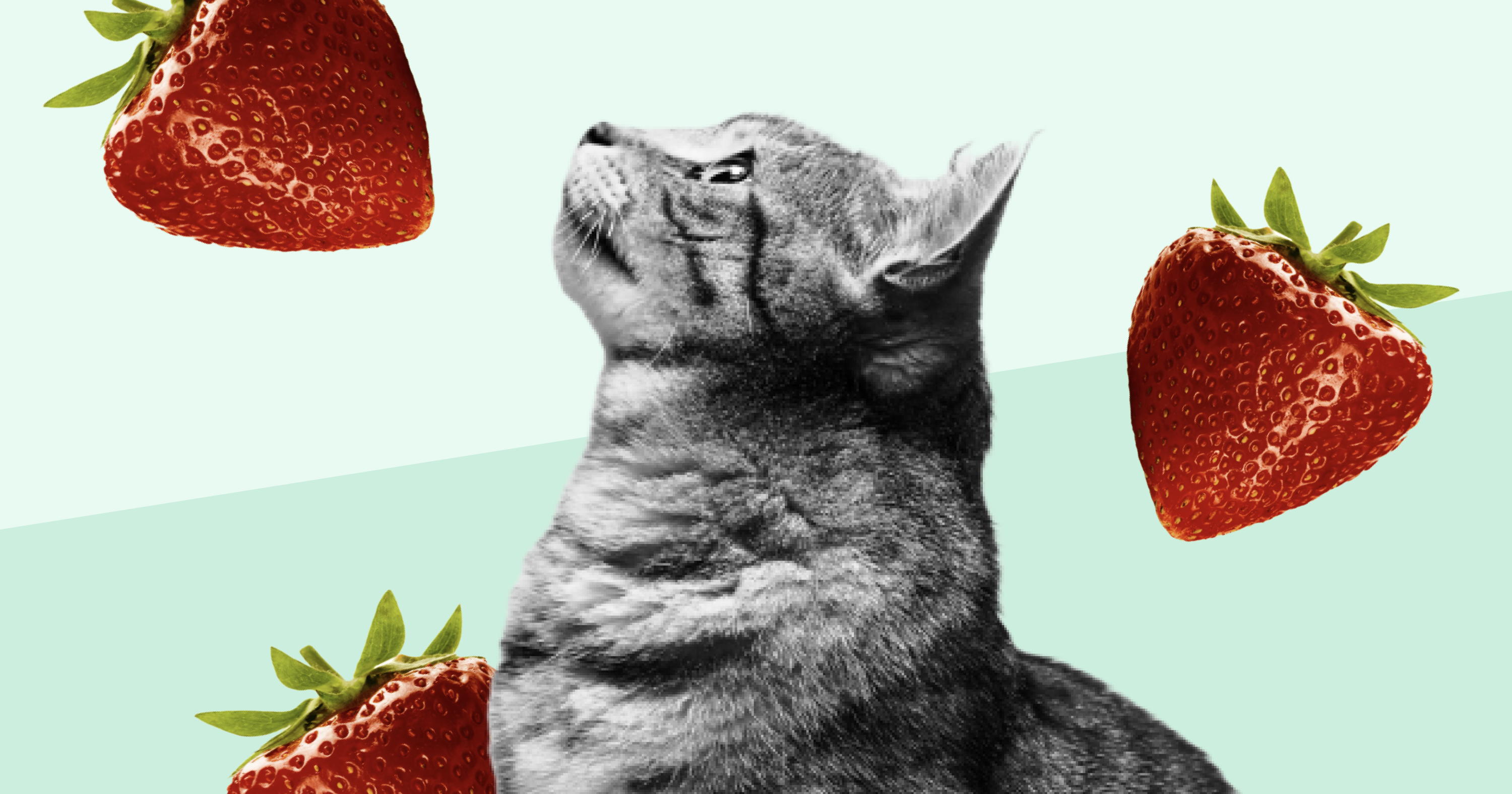 Advertorial vs editorial for PR: Which is better? A comprehensive guide