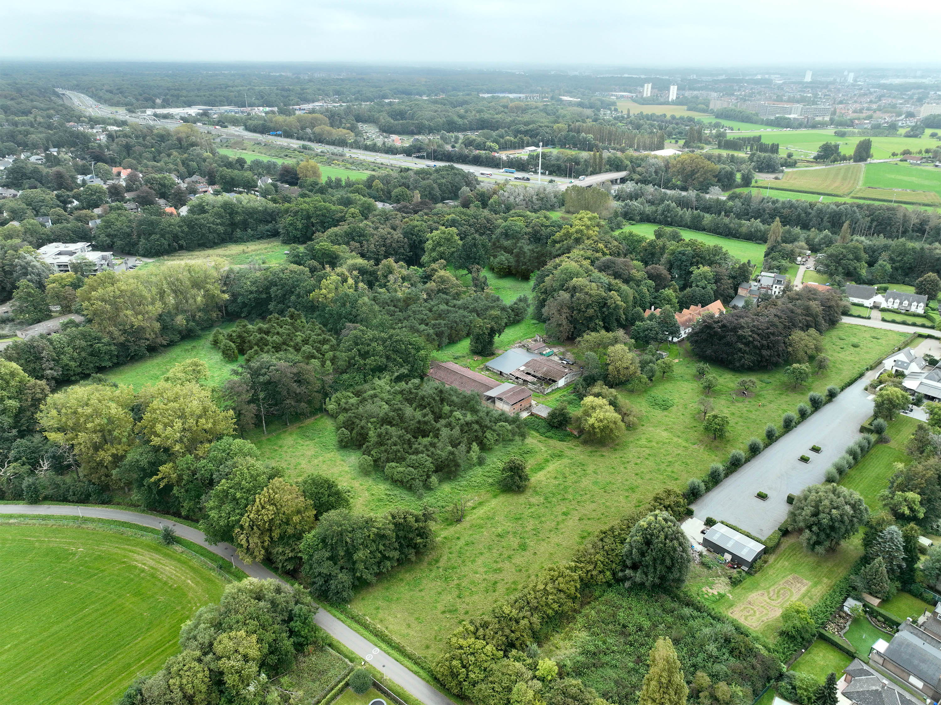 Toekomstbeeld bosperceel aan het Laar © Claar