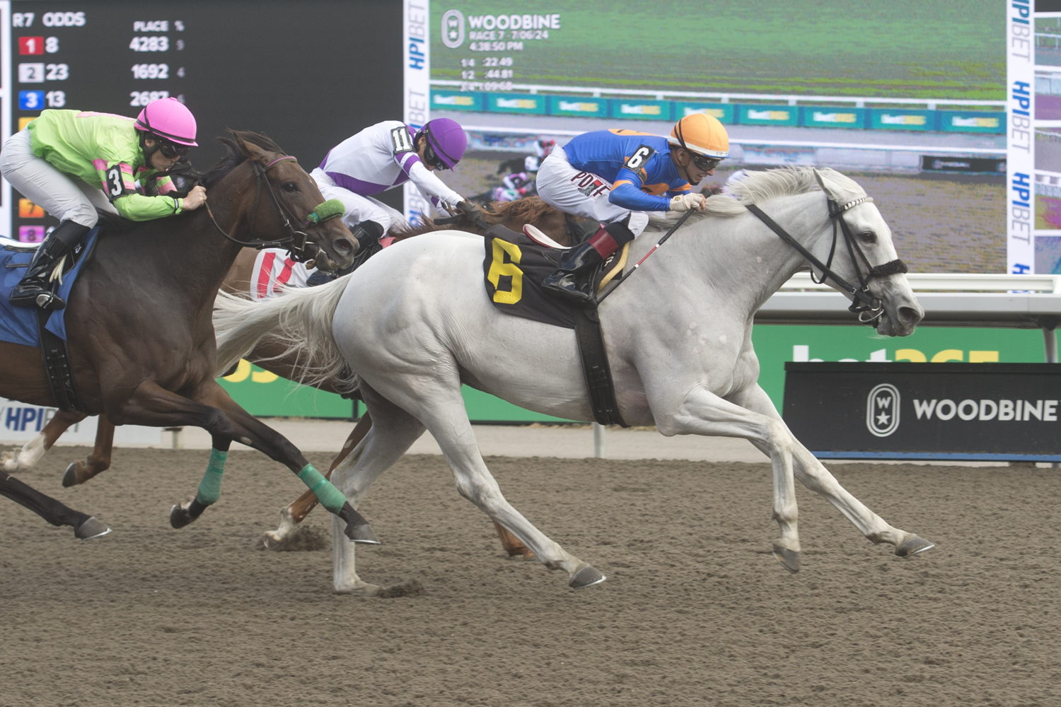Queen Macha and jockey Rafael Hernandez winning Race 7 on July 6, 2024 at Woodbine (Michael Burns Photo)