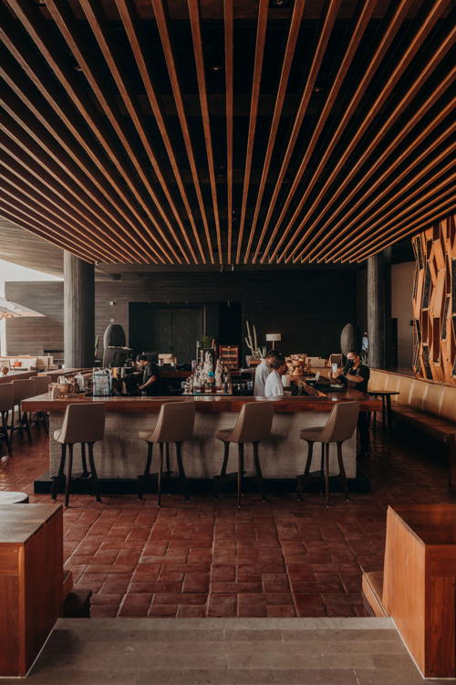 Vines of the Art, Sunken Bar - The Cape, a Thompson Hotel
