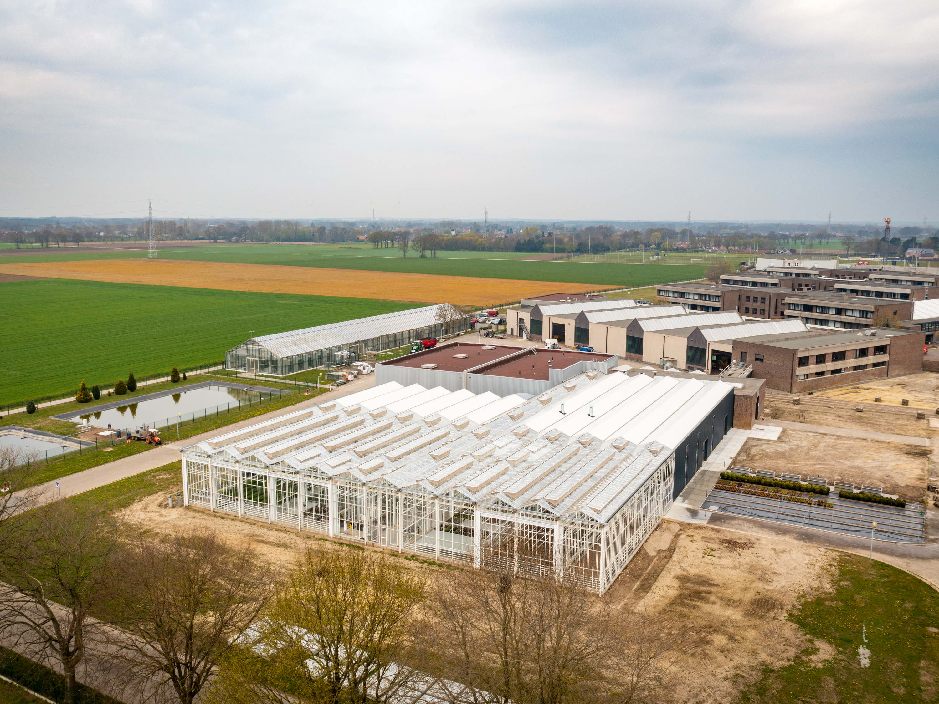 Campus Geel trakteert studenten op de eerste aardbeien uit nieuwe serre