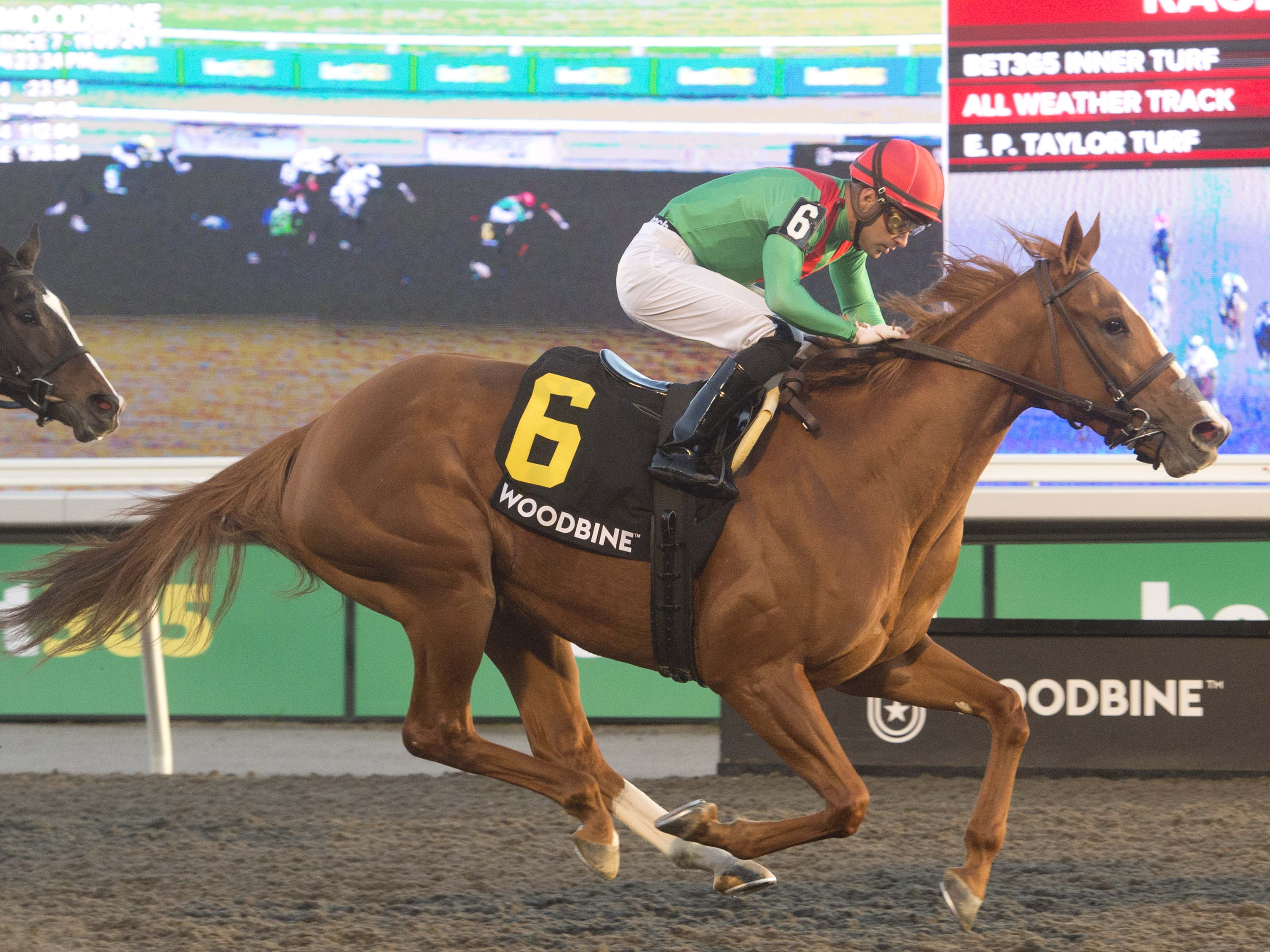 Standout Casse quartet set for Grade 3 Seaway