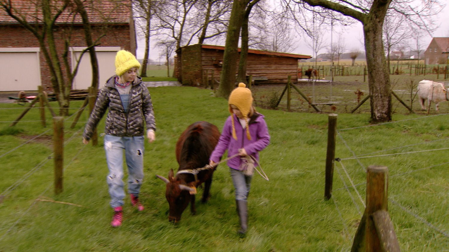 Ole en haar mini zeboe Zusje