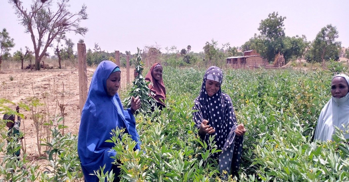 Ms Hadiza Abdou (far right), Ms Jimai Maman (2nd left) and Ms Faiza Harouna (far left).