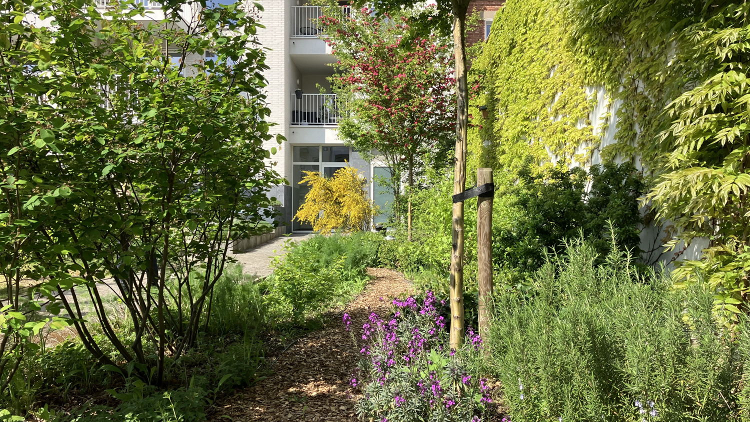 Binnentuin Appartementgebouw Nieuw Berchem  ©Stad Antwerpen
