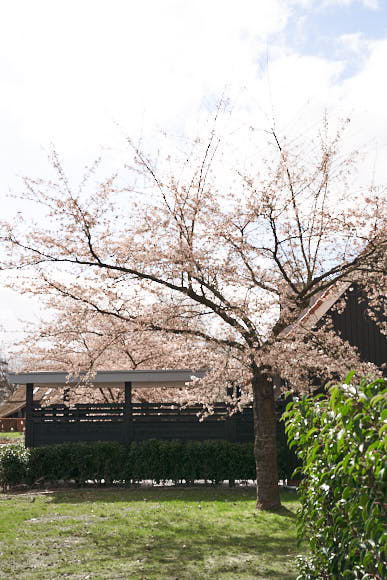 Lente Hof van Saksen