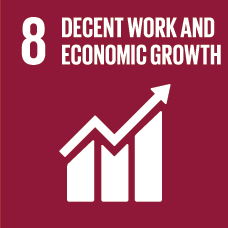 This work aligns with SDG8