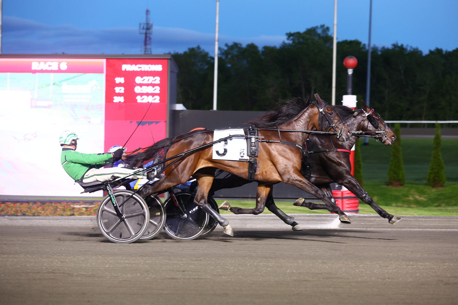 Private Access and driver Louis-Philippe Roy winning the first leg of the Graduate Series for four-year-old trotters on May 31, 2025 at Woodbine Mohawk Park (New Image Media)