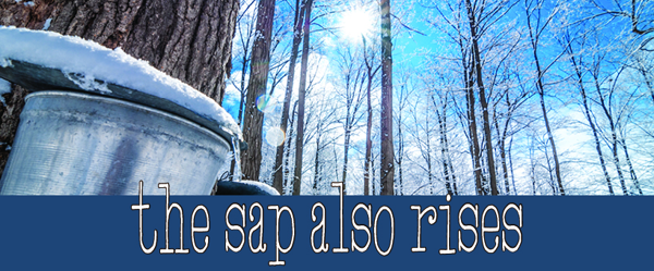 You're Invited to "The Sap Also Rises | A Mythic Catskills Weekend"