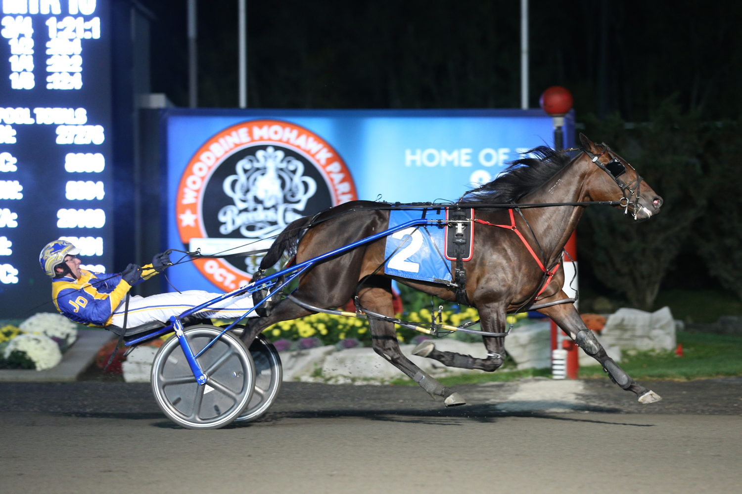 Boadicea and Jonathan Drury winning the  Ontario Sires Stakes (OSS) Super Final for three-year-old pacing fillies on October 12, 2019 at Woodbine Mohawk Park (New Image Media)