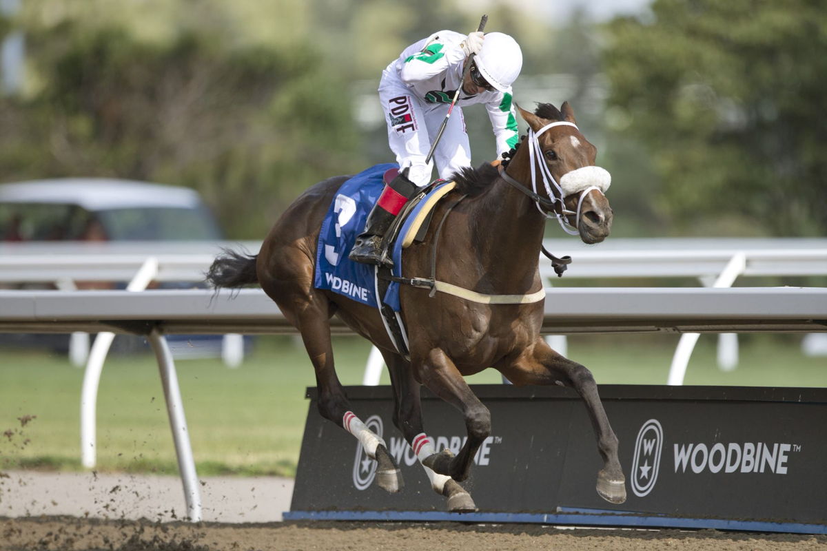 Moira, pictured winning the Woodbine Oaks, is one of 11 probable starters for The Queen's Plate. (Michael Burns photo)