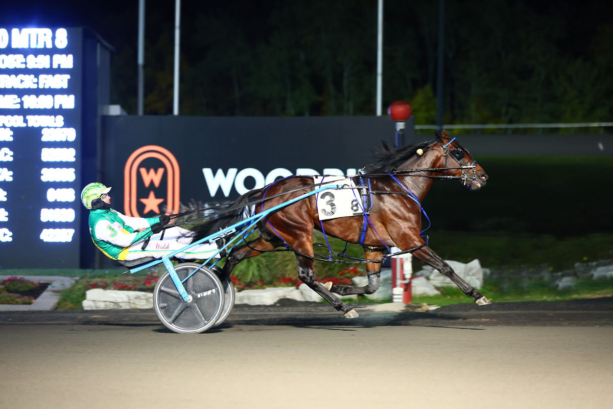 Stockade Seelster, pictured winning the OSS Super Final, will headline the SBOA Finals on May 20. (New Image Media)