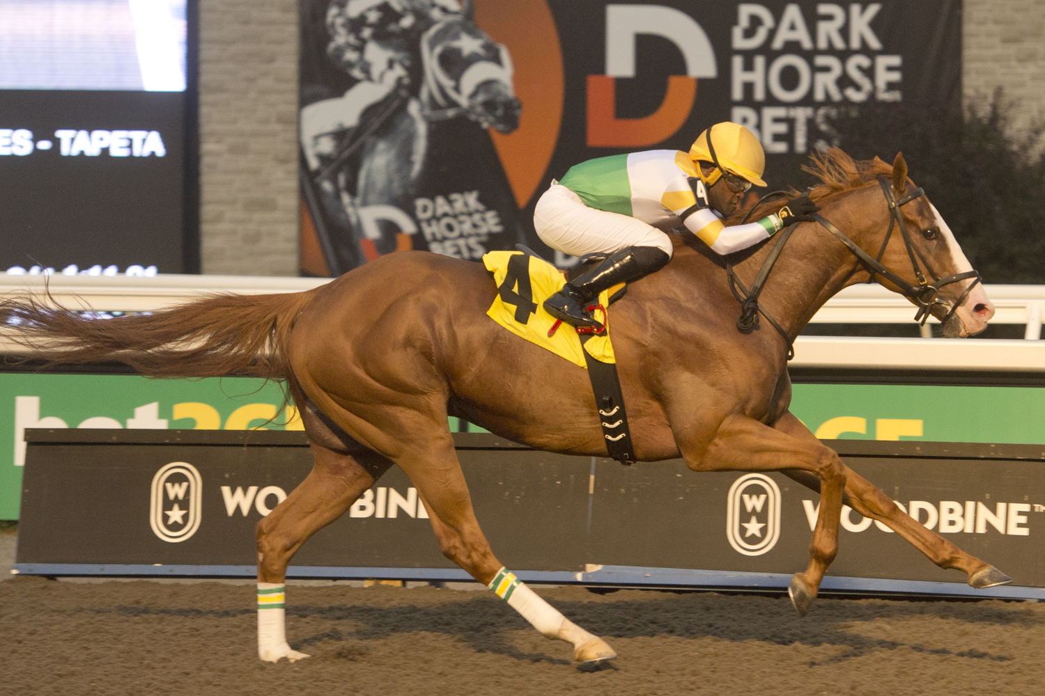 War Court and jockey Christopher Husbands winning Race 6 on August 24, 2023 at Woodbine (Michael Burns Photo)