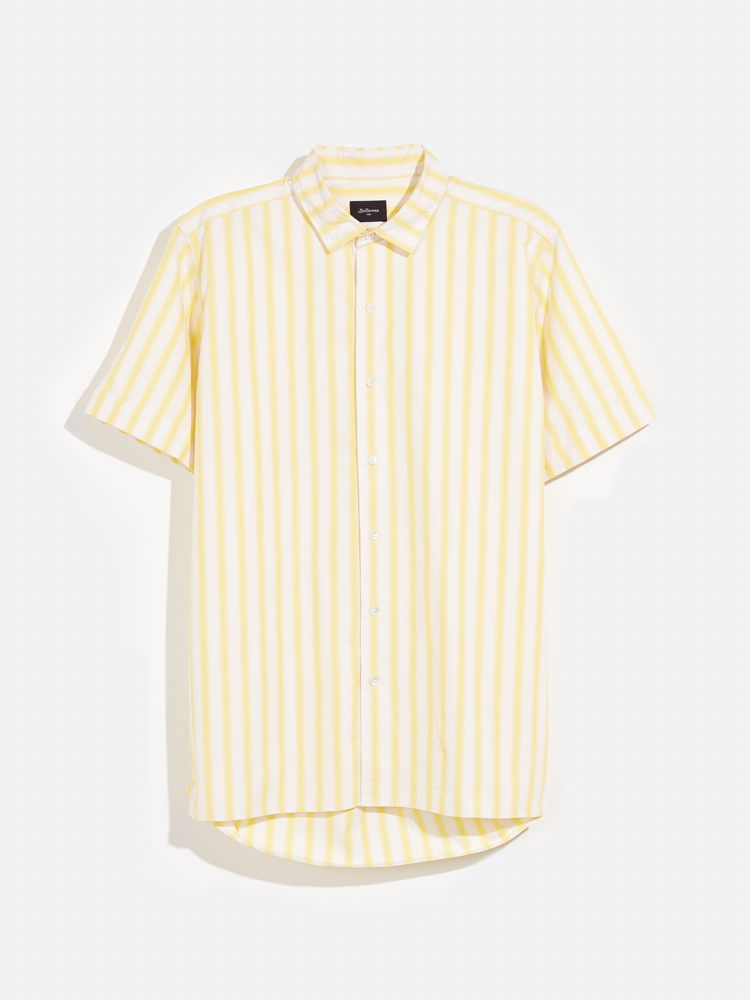 Filly_shirt_129euro_STRIPE K_9494