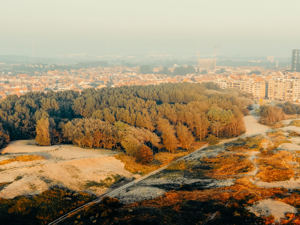 Knokke-Heist kleurt groen dit najaar: natuur, outdoorbelevingen en events voor jong en oud 