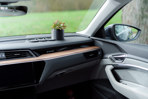 Preview: Audi lance une plante de voiture en collaboration avec Daniel Ost