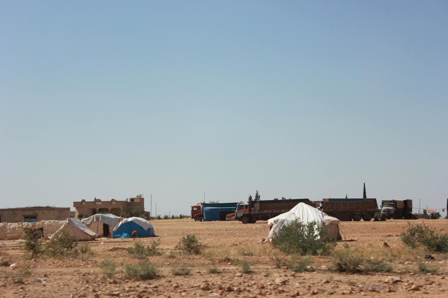@ MSF