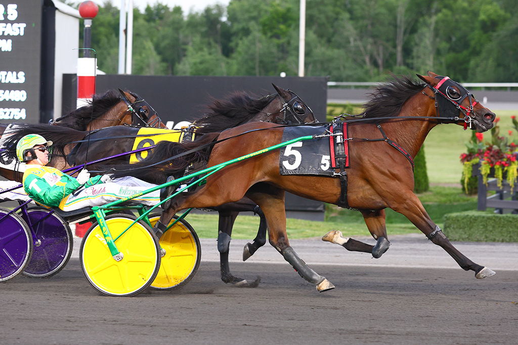 Call Me Goo and driver Tim Tetrick winning the Armbro Flight Final on June 15, 2024 at Woodbine Mohawk Park (New Image Media)