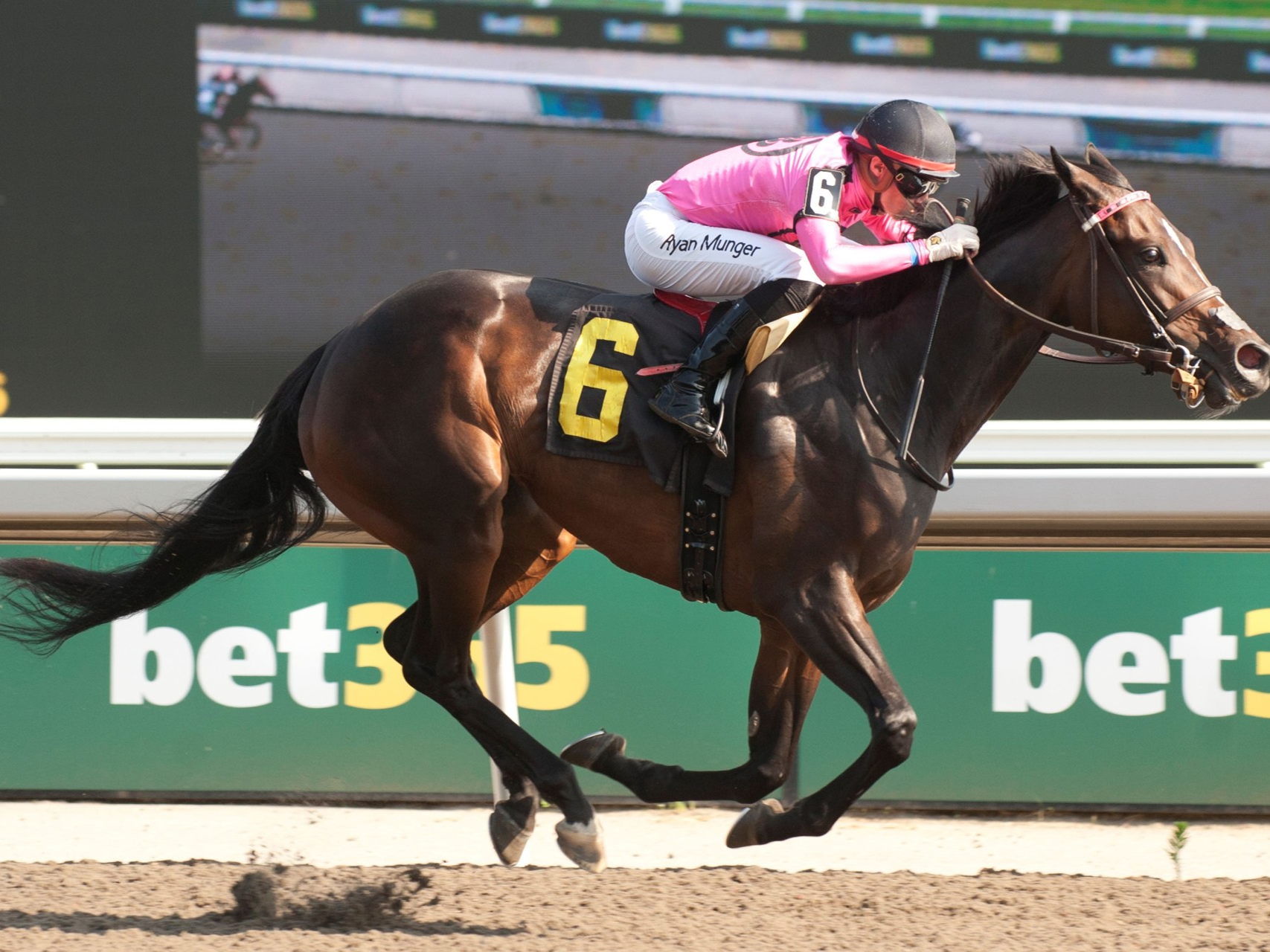 Casse barn eyes more Grade 3 Maple Leaf success with Blitz and Dancing N Dixie/Field of 14: Shotgun Wedding, Girl of My Dreams chase Grade 3 Bessarabian glory