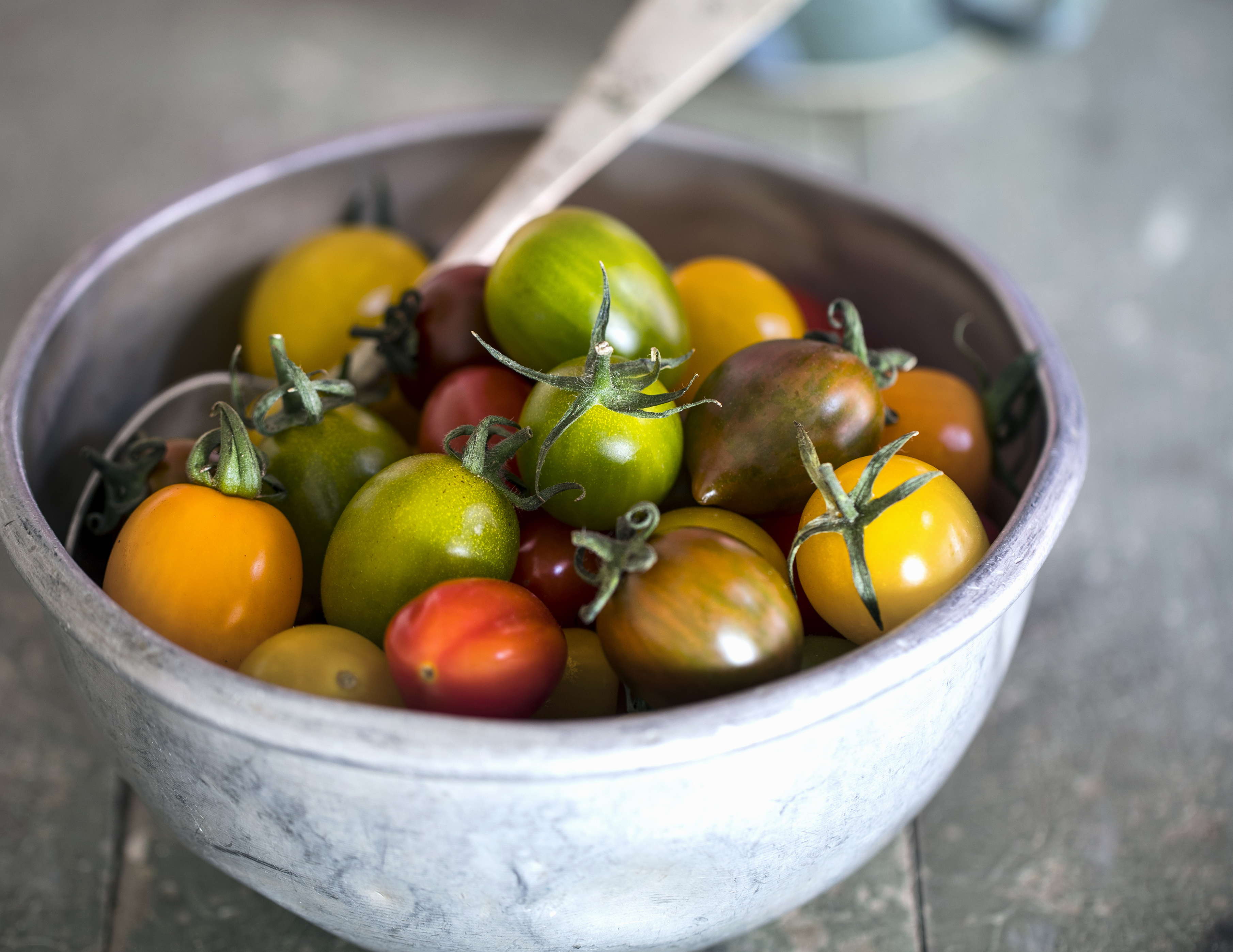 La collection Mondadori arrive chez StockFood France