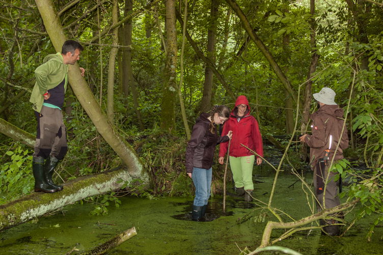 Nieuwdonk kletsnat natuurgebied