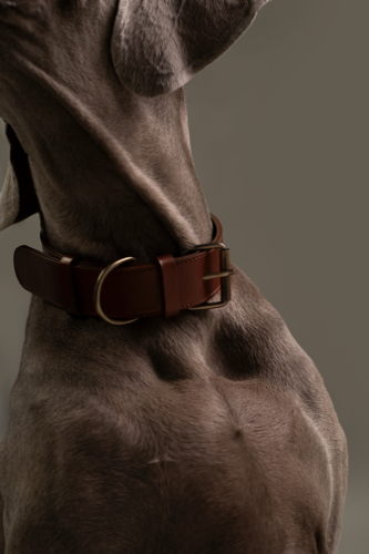 Mieke Dierckx_Amigo Collectie_Halsband M_57€ (7)