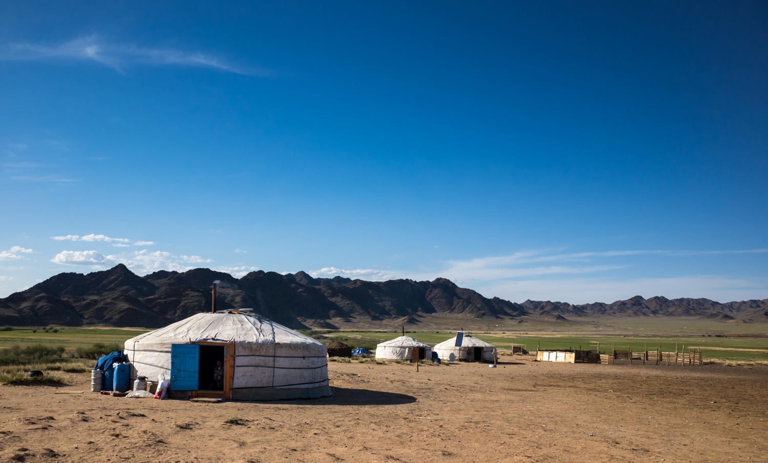 Beroepen zonder grenzen: Veeboeren in Mongolië