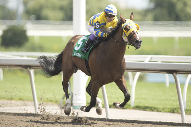 Patches O'Houlihan and jockey Daisuke Fukumoto winning the Lake Superior Stakes on July 30, 2023 at Woodbine (Michael Burns Photo)