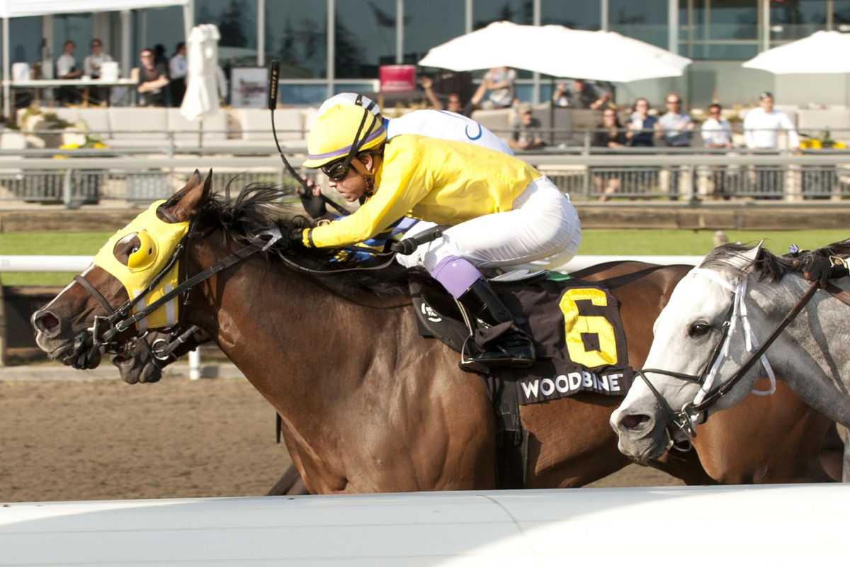 Patches O'Houlihan winning the Grade 3 Vigil Stakes on September 16 at Woodbine. (Michael Burns Photo)