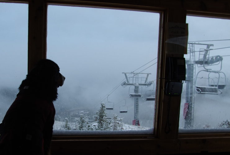 Dustin Schaefer, Loveland Ski Area