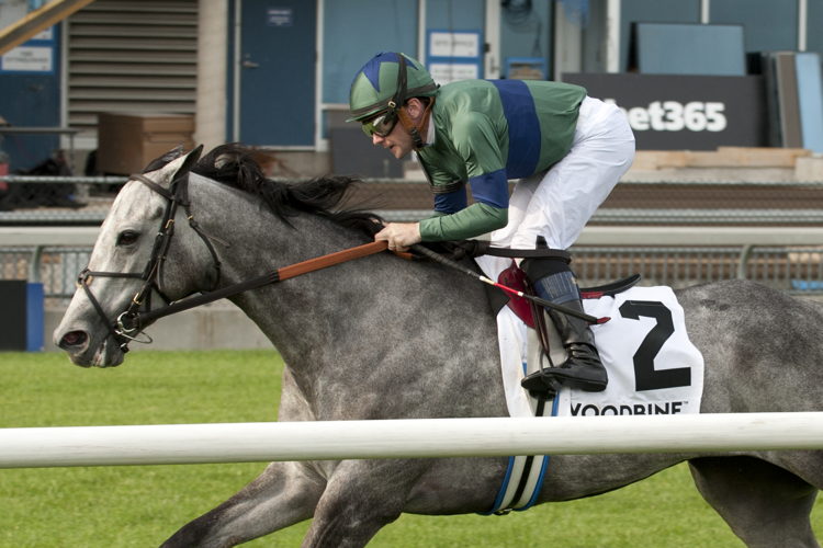 Implicated and Jockey Declan Cannon winning the Nassau Stakes (G2) on June 29, 2024 at Woodbine (Michael Burns Photo)