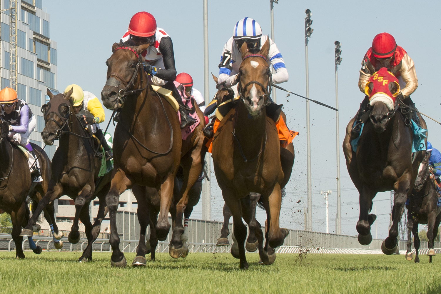 Souper Hoity Toity (Michael Burns Photo)