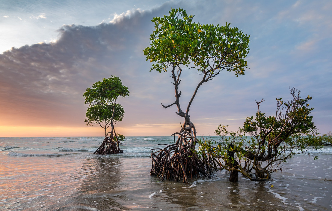 OECS Commission Releases Climate Trends and Projections Report for the OECS Region