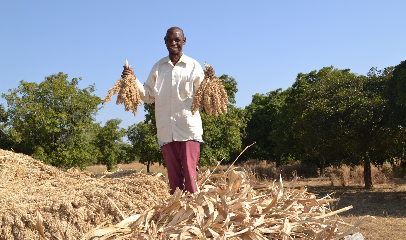 Intégrer les millets dans les systèmes alimentaires en tant que constituants majeurs d’une