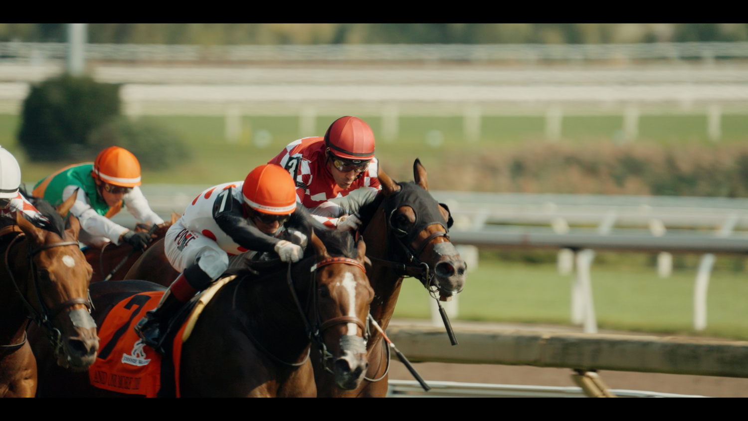Woodbine: Free Rein 