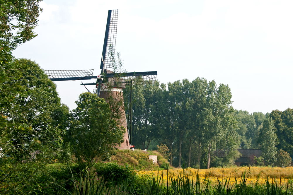 Nuenen - Molen