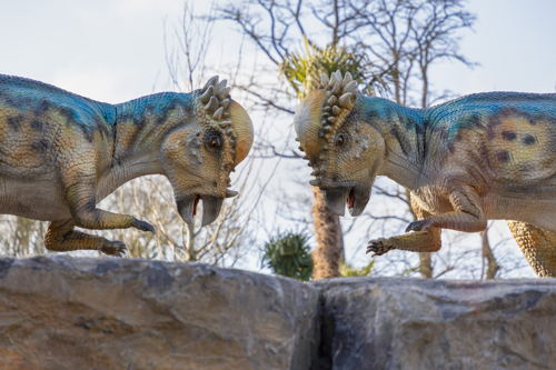 Pachycephalosaurus