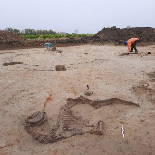 Archeologisch onderzoek in de middeleeuwse haven van Brugge.