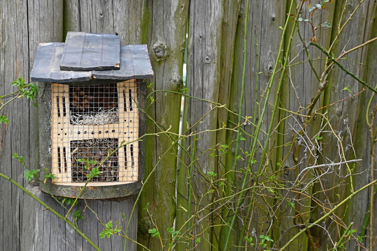 Un hôtel à insectes offre le gîte et le couvert à peu de frais.